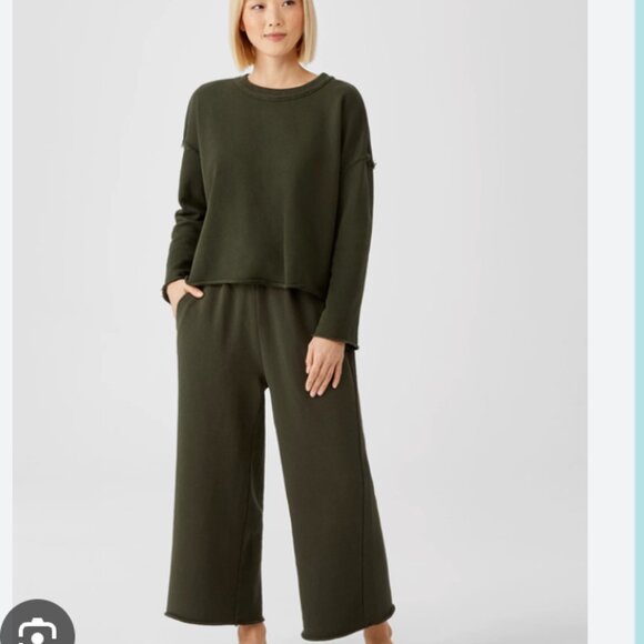 Eileen Fisher Organic Cotton Set Wide Leg Pants Sweatshirt Top Green Sz Small - Picture 1 of 15